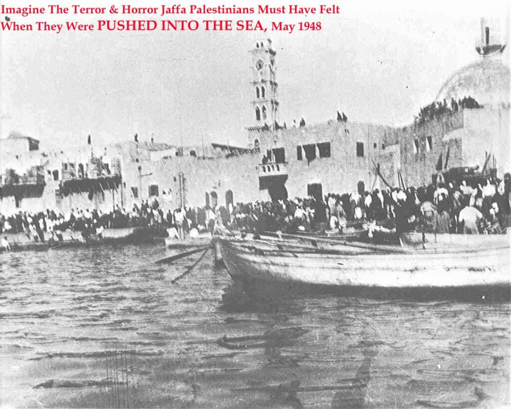 Palestinians pushed into the sea in 1948